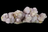 Cactus Quartz (Amethyst) Crystal Cluster - South Africa #132529-3